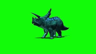 巨角兽恐龙三角兽绿幕素材视频的预览图